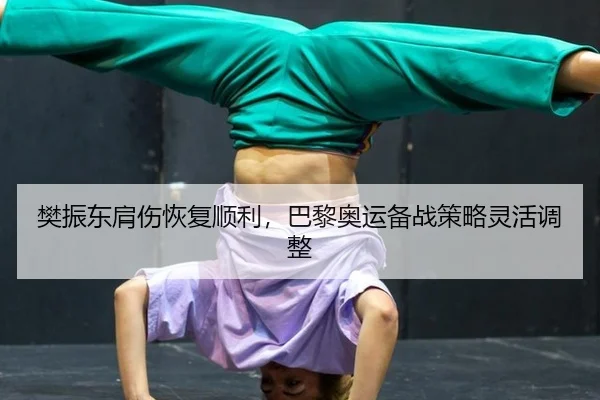 樊振东肩伤恢复顺利，巴黎奥运备战策略灵活调整